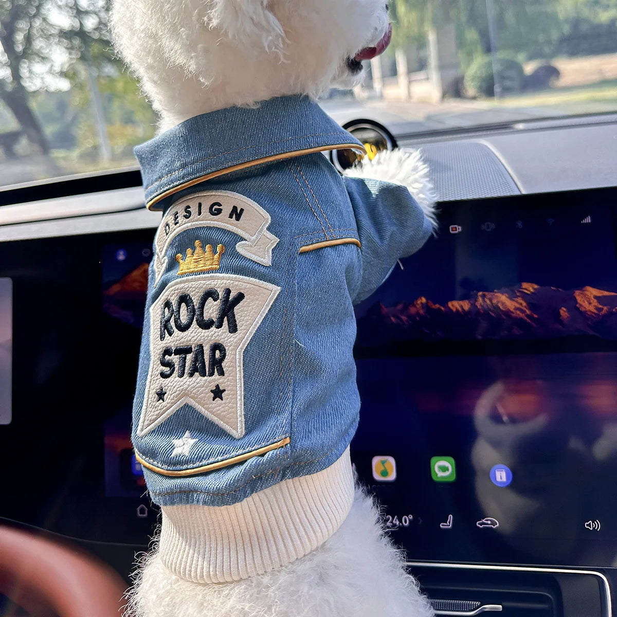 Chaqueta Rockera para Perro raza pequeña