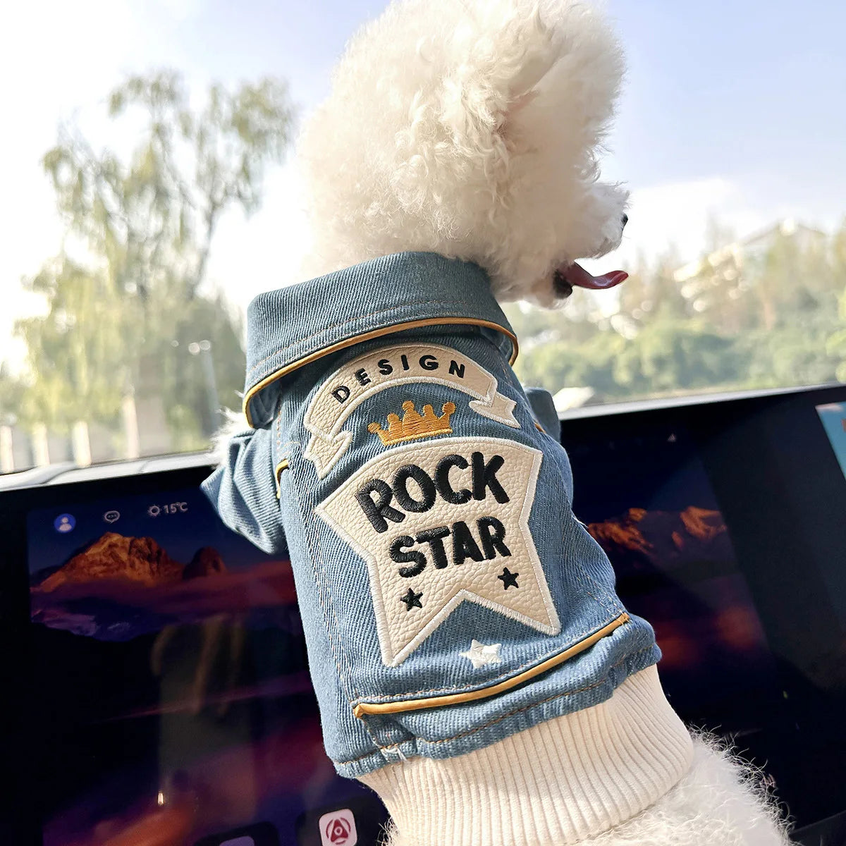 Chaqueta Rockera para Perro raza pequeña